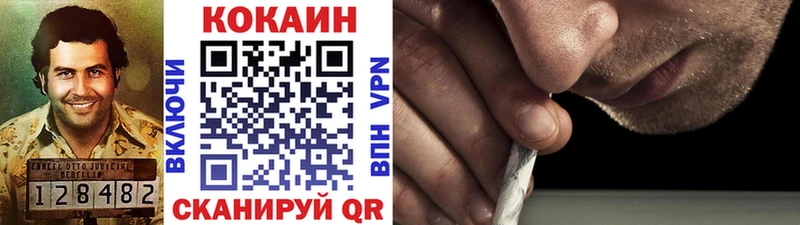 Купить Жердевка КОКАИН Fish Scale