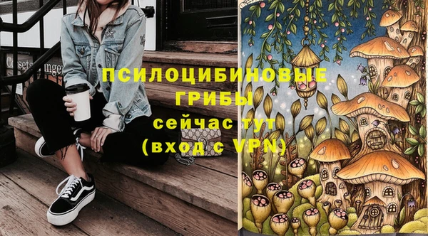 Альфа ПВП Кодинск