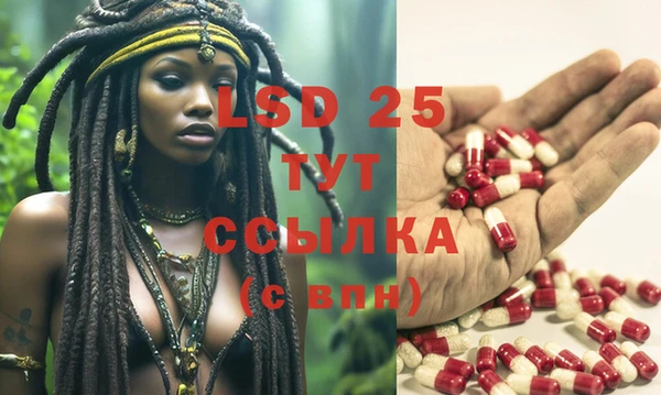 спиды Козловка