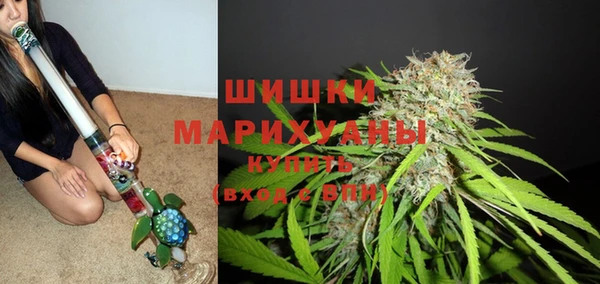 спиды Козловка