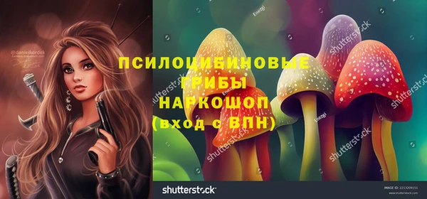 ECSTASY Козельск